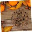3 x Angoily Natural Acorn Shells 50Pcs 0.78In Dried Acorn Craft Decorations for Autumn Wedding Christmas Tree Photo Props Home Party Hanging Ornaments