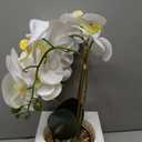 Large White Orchids Artificial Flowers with Gold Pot, 17"