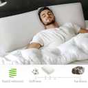 Talalay 100% Natural Premium Latex Pillow,Bed Pillow for Sleeping with Removable Cotton Cover, Helps Relieve Pressure, Breathable, Pressure Relief, Durable (Standard - Soft)