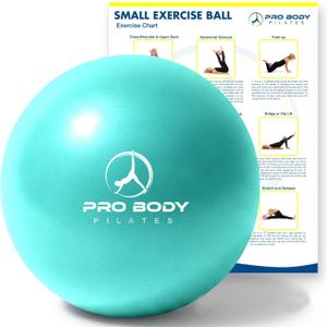 ProBody Pilates Small Exercise Ball - 9 Inch Workout Ball for Stability, Barre, Yoga, Core & Physical Therapy (Aqua)