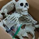 UMEELR 5.4FT Halloween Skeletons, Full Size Skeleton with Skeleton Dog, Plastic Life Size Human Skeletons for Halloween Graveyard Haunted House Party Decoration