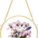 REDHUGO Glass Frame for Pressed Flowers Handmade, Wall Hanging Brass Floating Frame, Double Glass Round Picture, Glass Frame for Dried Flowers Poster Home Wall Decor, Circle, Gold  Gold, 6.3"L x 6.3"W (FRAME ONLY)