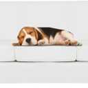ZNSAYOTX Oversized Velvet Couch Cover 4 Piece (92"-115") Stretch Sofa Covers for 3 Cushion Couch Thick Soft XL-Slipcover with Non Slip Strap, Dog Pet Friendly Nice Furniture Protector (White)