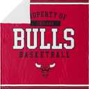 FOCO Unisex-Adult NBA Team Color Sherpa Fleece Blanket 60" x 70"