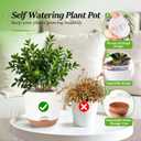 5.8 Inch Self Watering Planters for Indoor Plants with Bottom Watering,2Pack Flower Plant Pots for Outdoor with Drainage, Durable Plastic planters Pots(White)