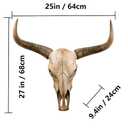BKCEHCRS Cow Skull Wall Decor, Longhorn Wall Decor with Carved Details, Hand-Carved Authentic Taxidermy Cow Skull Bull Skull Wall Decor 27 * 25 * 10inch,Brown 1