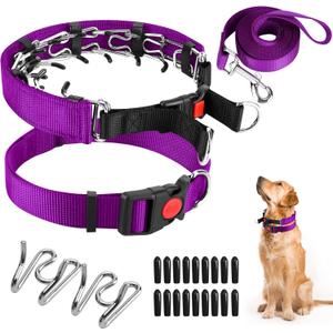 Prong Training Collar with Comfort Tips and Quick Release Snap Buckle - Dog Choke Pinch Collar with Nylon Cover - Classic Collar and Leash for Small to Large Dogs (Large, 3.5mm, 17-21'' Neck, Purple)