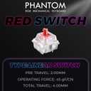 TECWARE Phantom 87 Key RGB Mechanical Gaming Keyboard | Outemu Red Switch | 16.8M Color LED Lighting | 18 Pre-Set | Low Latency | N-Key Rollover | Software Customizable Keys | Wired USB Connection