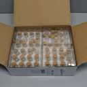 Bright Creations 48 Pack 10ml Create A Message In A Bottle Kit, Bulk Small Glass Cork Bottles with Mini Scrolls for Time Capsules, Wedding Favors