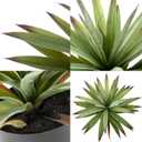 Saki Dcor Artificial Agave Plant in Pot, Lifelike Faux Agave Bonsai for Indoor and Outdoor Home Décor (20 Inch)