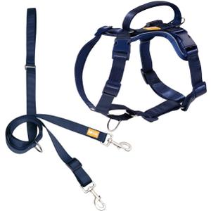 DF Freedom No Pull Martingale Dog Harness and Leash Set, Front Clip Adjustable Harness with Reflective & Padded Handle, Easy Walking & Training, Navy Blue, 1", Chest 30.4" - 45.2"