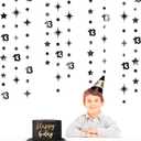 Black 13th Birthday Decorations Number 13 Circle Dot Twinkle Star Garland Metallic Hanging Streamer Bunting Banner Backdrop for Girls 13 Year Old Birthday Thirteen Official Teenager Party Supplies