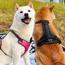 EXCELLENT ELITE SPANKER Nylon Reflective Dog Harness Adjustable No Pull Lightweight EVA Padded Vest Nameplate-Front Clip Service Dog Harness with Buckle for Medium Large Dogs (Black, S)