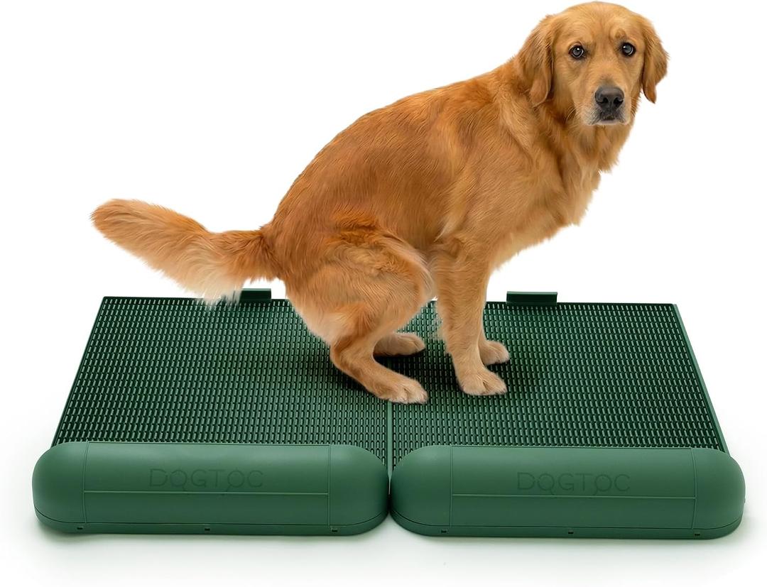 DOGTOC Reusable Indoor Dog Potty Tray - Eco Friendly Pee Pad Free Pet Toilet | Large Puppy Training Tray, Washable & Sustainable, Green, Set of 2