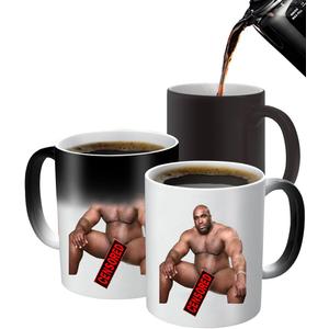 Funny Christmas Day Gift For Girlfriend, Heat Changing Coffee Mug, Funny Gag Gifts for Women Men - Message Appears as it Heats, Novelty Gifts for Christmas Birthday