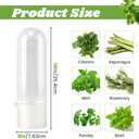 Fresh Herb Saver Cilantro Storage Containers for Refrigerator, Transparent Herbs Saver fits Fridge Asparagus Parsley Mint Leaves, Keeps Greens Vegetables for 2-3 Weeks(SIZE:2 pcs)