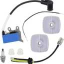 A411001690 Ignition Coil A10070 for Echo Shindaiwa GT-225 GT-225L PAS-225 PE-225 SHC-225 SRM-225 SRM-2320T FH235 LE235 M235 T235 Trimmer Brushcutter