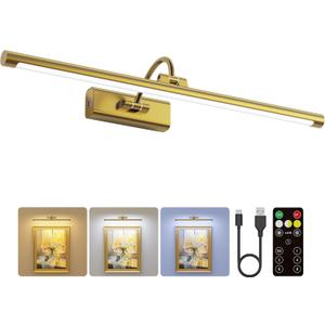 24" Picture Lights for Wall with 8000mAh Battery - Brass Operated Wireless Wall Art Light with Remote Control for Large Portrait & Paintings Art