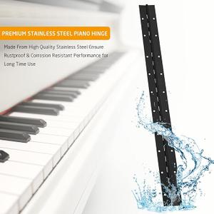 Door Hinges 2 Pcs 20" x 1.8"