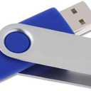 Generic 4 GB Flash Drive 10 Pack USB Flash Drives 4G USB 2.0 Memory Stick Thumb Drive(10Pack Blue, 4GB)