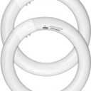 FC8T9/CW Circular Fluorescent Light Bulb, 8 Inch Round T9 22W Circline Bulbs Replacement for Circle Ceiling Fixture, Cool White 4100K 1350 Lumens, G10q 4 Pin Base, 2 Pack