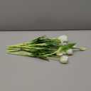 15pcs Artificial Tulips Flowers, Real Touch Latex Bouquet, Fake Tulips for Office Wedding Party Home Kitchen Garden Decoration(White,15pcs)