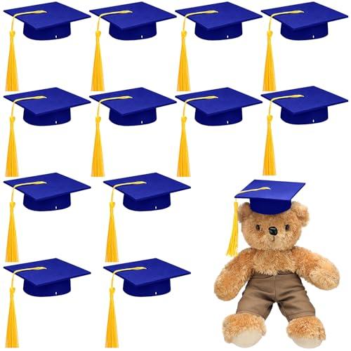 Foilswirl 12 Pcs Mini Graduation Cap with Tassel Mini Plush Mason Jar Small Animal Bachelor Hat Photo Prop Party Supply(Blue Gold,4.33 x 4.33 Inch)