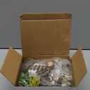 60 PCS Mini Fairy Garden Accessories Kit Enchanted Miniature House Decor Set with Tiny Figurines, DIY Micro Landscape Ornaments for Terrarium, Dollhouse Succulent Craft