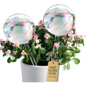 Large Extra-Thick Clear Glass Plant Watering Globes, Rainbow Gradient Self Watering Devices for Indoor & Outdoor Plants, AutomaticWaterer Spikes, Perfect for Daily or Vacation Use, 2-Pack