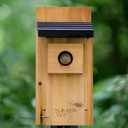 Natures Way Cedar Bluebird & Cavity Nesting House, Predator Guard, Ventilated Design & Easy Access Clean-Out Panel, Natural Wood