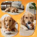 Dog Birthday Cake Toy, Interactive Crinkle Squeaky Chew Toy for Small Medium Large Dogs, Durable Pet Birthday Gifts & Party Accessories, Cute Soft Puppy Celebration Fun for All Breeds