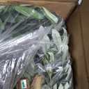 5FT Olive Trees Artificial Faux Olive Tree with White Planter Wood Trunk