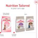 Royal Canin Feline Health Nutrition Spayed/Neutered Kitten Dry Cat Food, 2.5 lb Bag