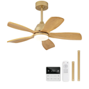 DELIHUA 36 Inch Ceiling Fans with Lights and Remote, 5 Blades Wood Ceiling Fan with Light, Dimmable, Wall Switch, Reversible DC Motor, Modern Indoor Outdoor Ceiling Fans for Patios Bedroom (Gold)