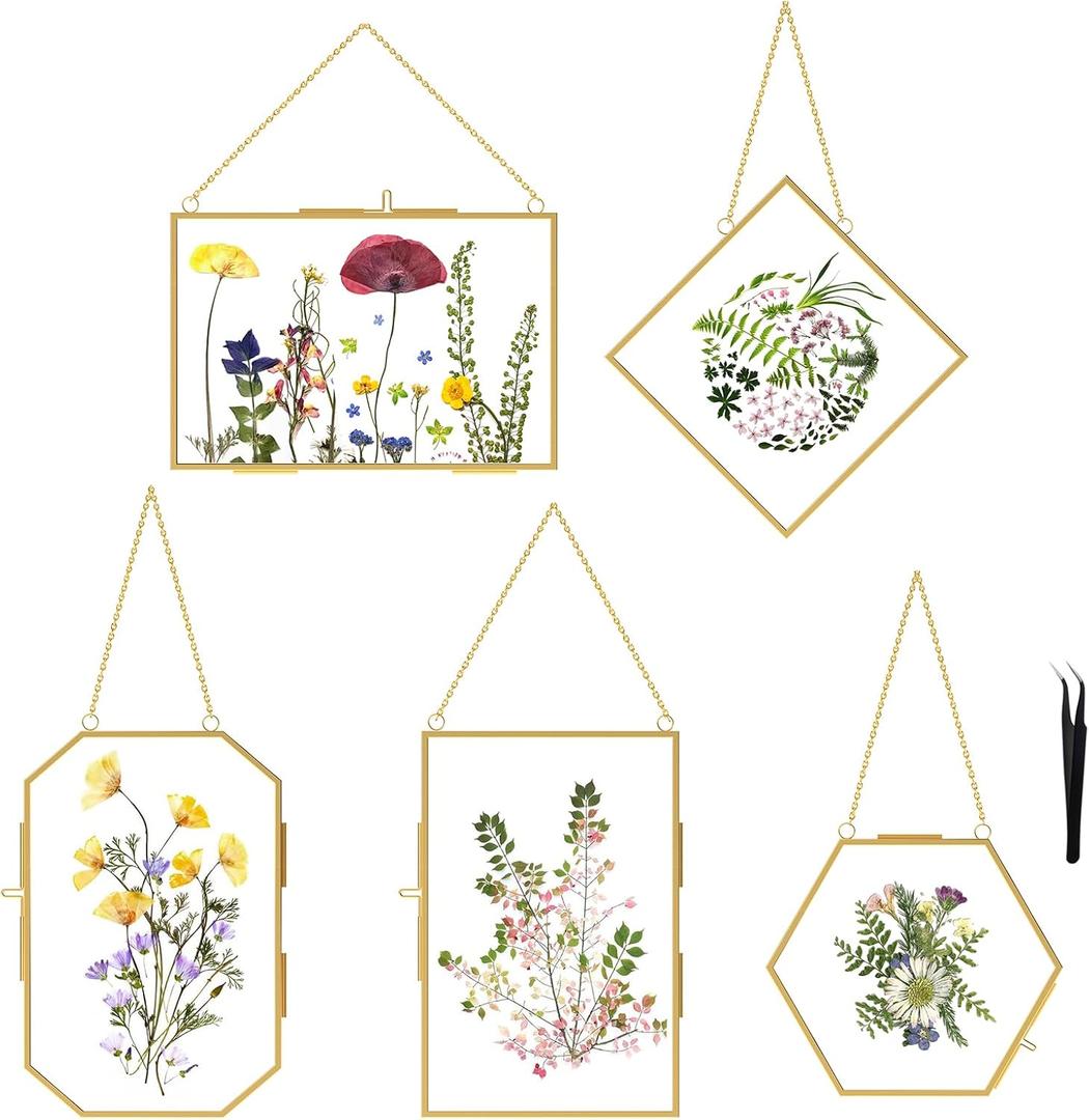 FOCHIER F 5 Pcs Pressed Flower Frames with Tweezers, Wall Hanging Tabletop Display Double Glass Frames with Metal Chain for Pressed Dried Flowers Plants, Horizontal and Vertical Picture Frame, Golden