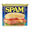 Spam Classic, 12 Ounce Can (EXP 02/10/28)
