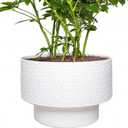 13 Inch Ceramic Pots for Plants, Large Planters for Indoor Plants with Drainage Hole, Modern Indoor Plant Pots for Home Office, Honeycomb Ceramic Planter Pots, White