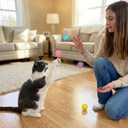 2 x SPOT Lattice Balls Cat Toys - Durable, Fun Balls with Bells Perfect for Swatting and Batting, Colorful Toys to Entertain Indoor Cats and Kittens, - 1.5 inch, 4 pcs