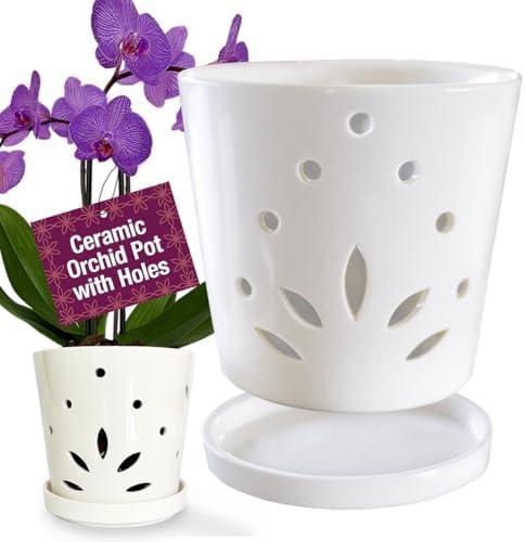 Atri Ceramic Orchid Pots with Holes–5.25in Modern Porcelain Indoor Orchid Planter–Drainage Hole–Small Orchid Pot for Repotting–White Orchid Pot with Holes