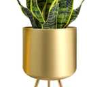 Mid-Century Metal Flowerpot with Stands, Gold Stylish Modern Floor-Standing Flowerpot,Suitable for Orchid, Aloe Indoor Outdoor Decoration 8.5'' Wide 18'' high