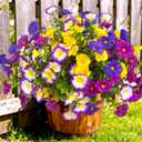 Artificial Flowers for Outdoors Fake Plants Spring Summer Decor, 12 Bundles Realistic Fake Silk Flowers Colorful Morning Glory UV Resistant Faux Flowers for Porch Outside Planter Porch Patio Yard
