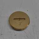 Eastman 3 Inch Slotted Brass Cleanout Plug, 42002