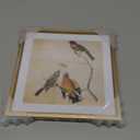 9x9 Picture Frame, Brass Metal Square Photo Frames with HD Glass, Fits 8x8 with Mat or 9 x 9 without Mat, Display for Wall and Table, 1 Pack