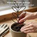 Plant Trellis Indoor Climbing Support - 3-Pack 12.6" Small Metal Garden Trellises for Potted Hoya Pothos Monstera - Rustproof Outdoor Gardening Accessories for Plant Lovers