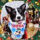 Preboun 30 Pcs Christmas Plaid Dog Bandanas Bulk Holiday Scarf Triangle Bibs Adjustable Washable Dog Handkerchief Xmas Drool Bib Accessories Grooming Supplies for Small to Medium Cats Dogs