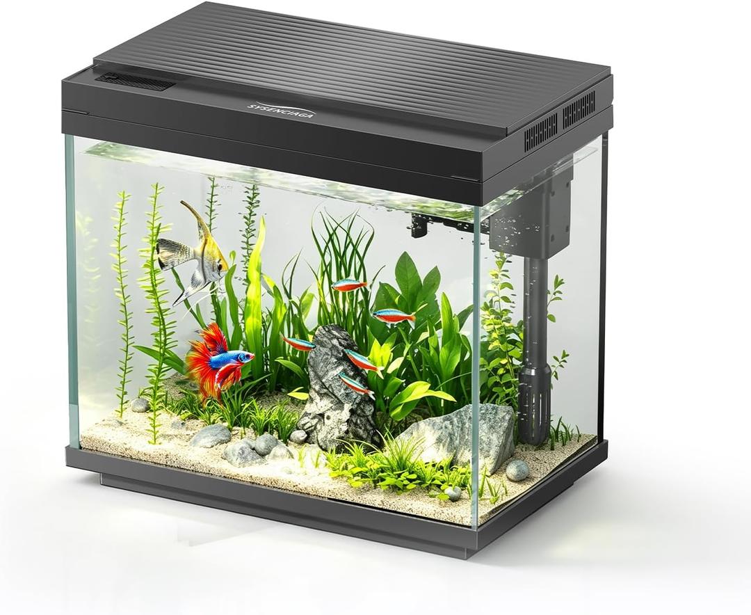 3 Gal Glass Fish Tank Kit with Filter & Light