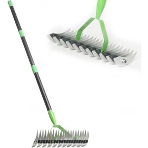 Thatch Rake for Lawns, Dead Grass Dethatcher Rake Removal Tool Heavy Duty Long Handle 54 inch, 13 inch Wide 11 Tines Manual Lawn Thatcher for Loosening Soil in Yard Garden