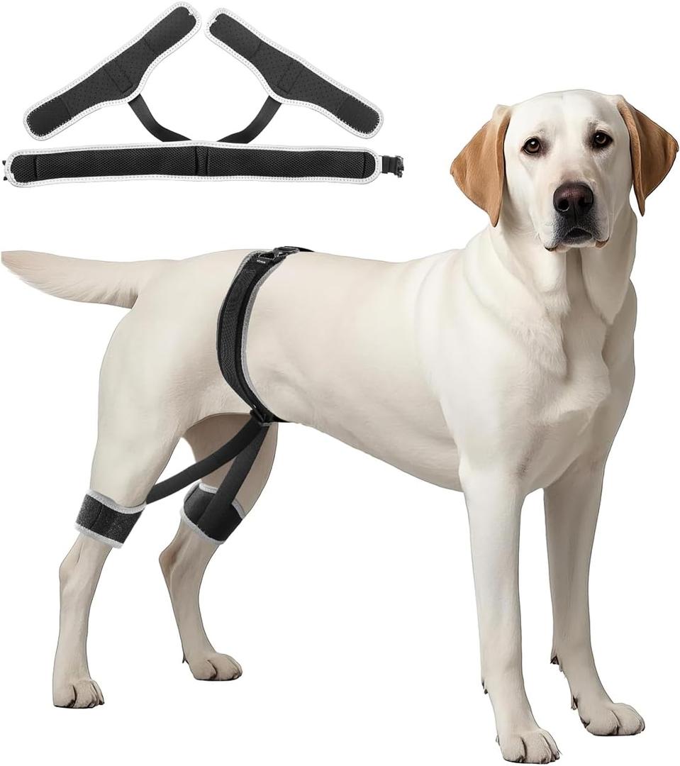 VEVOR Dog Hip Support Brace, Breathable & Durable Support Brace for Dogs Hip, Pet Hind Leg Braces for Dogs, Pain Relief, Dog HIPS Harness with Reflective Trim for Recovery, Size XL