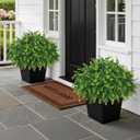 2 Set Real Touch Artificial Eucalyptus Topiary Trees for Outdoor Decor - 16" Faux Eucalyptus Potted Plant, Fake Greenery Shrubs in Black Pot for Front Door Porch Farmhouse Shower Home Decor