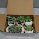 Der Rose Set of 6 Succulents Plants Artificial in Pots Small Fake Plants for Bedroom Aesthetic Living Room Shelf Bathroom Decor Office Desk Accessories (Green)